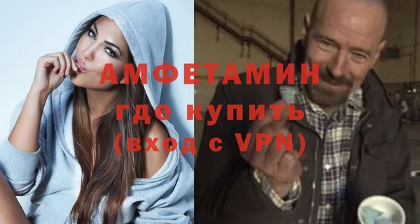 индика Богородицк