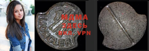 индика Богородицк