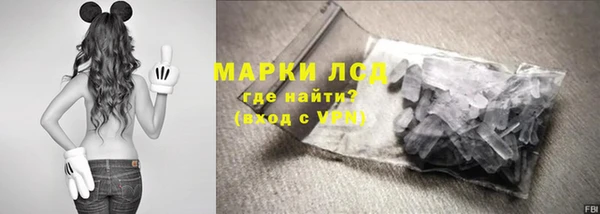 индика Богородицк
