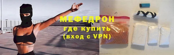 индика Богородицк