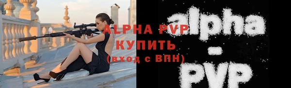 индика Богородицк