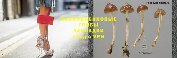 гашик Богородск