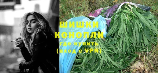 индика Богородицк