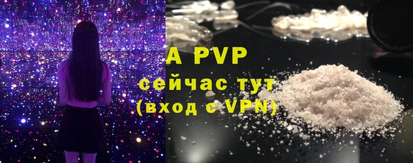 индика Богородицк