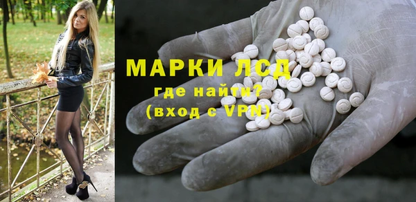 индика Богородицк
