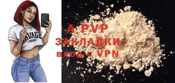 индика Богородицк