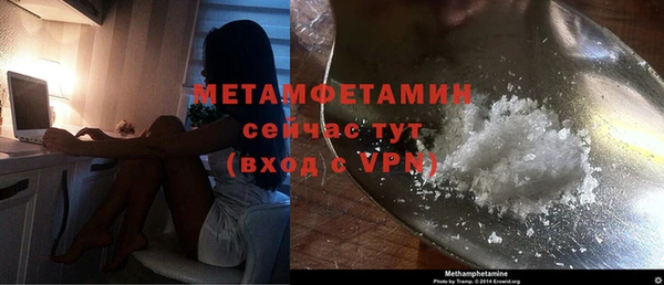 индика Богородицк