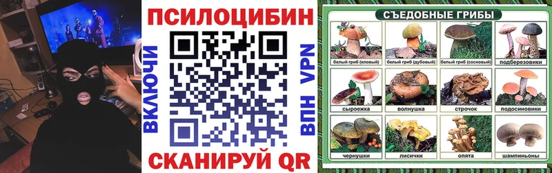 blacksprut сайт  Кузнецк  Галлюциногенные грибы Psilocybine cubensis  где найти наркотики 